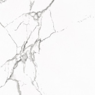 Statuario Venato Polished 60x60
