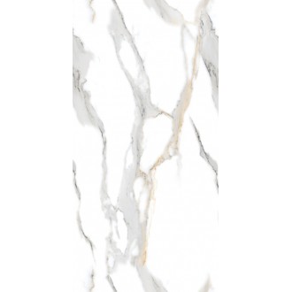 Staturio Oro 60x120