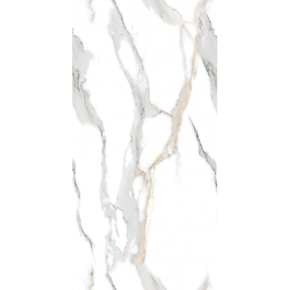 Керамогранит Staturio Oro 60x120