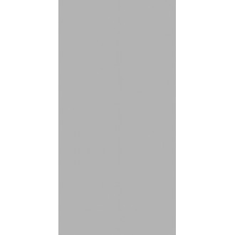 Steel Grey Polished  60х120