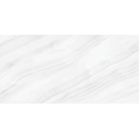 Stelia Light Grey Polished 60x120