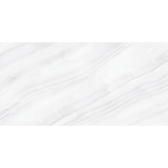 Stelia Light Grey Polished 60x120