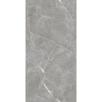 Stone Cool Grey Серый Матовый 60х120
