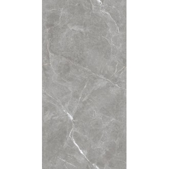 Stone Cool Grey Серый Матовый 60х120