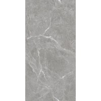 Stone Cool Grey Серый Полированный 60х120