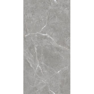 Stone Cool Grey Серый Полированный 60х120