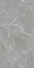 Stone Cool Grey Серый Полированный 60х120