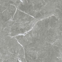 Stone Cool Grey Серый Полированный 60х60