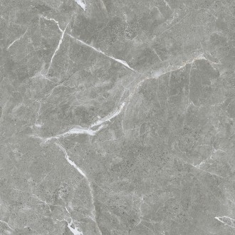 Stone Cool Grey Серый Полированный 60х60