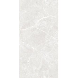 Stone Cool White Белый Полированный 60х120