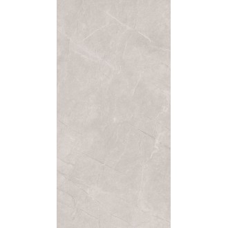 Stone Divine Grey Серый Матовый 60х120