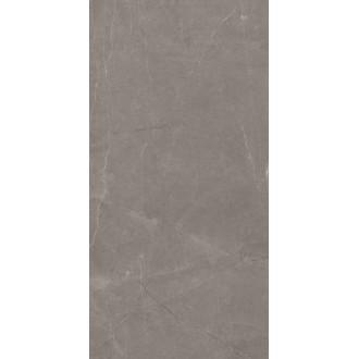 Stone Micado Grey Серый Полированный 60х120
