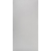 Studio Light Grey Polish 60x120