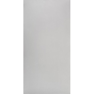 Studio Light Grey Polish 60x120