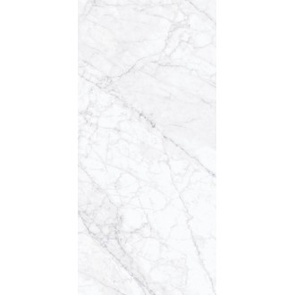 Stx Carrara Fogg 59,8х119,8