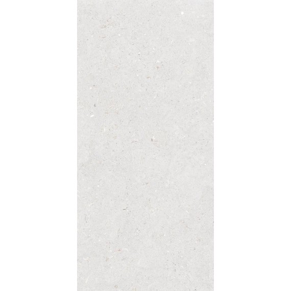 Керамогранит Stx Fossil Bianco 59,8х119,8