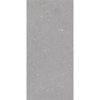 Stx Fossil Grey 59,8х119,8