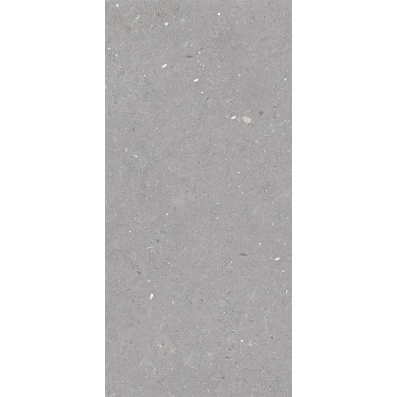 Керамогранит Stx Fossil Grey 59,8х119,8