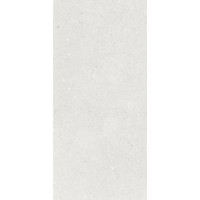 Stx Fossil Silver 59,8х119,8