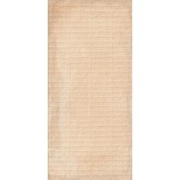 Stx Frt Cotta Peach 59,8х119,8