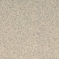 TAL61073 Taurus Granit 60x60