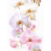 TC2M051DT Vilena Orchids декор 25x35