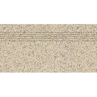 TCPSA073 TAURUS GRANIT 30x60