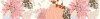 TD-MD-B-FL Meadow Flowers 5,7х30