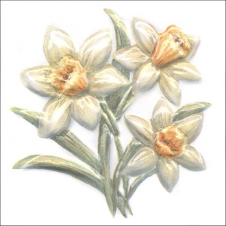 TFA011 Плитка Оранжерея Нарциссы 9.9*9.9