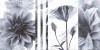 TP3601SWFY Декор Галатея Цветы ректификат 30x60
