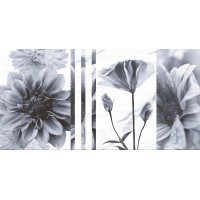 TP3601SWFY Декор Галатея Цветы ректификат 30x60