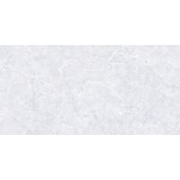 TP3602A Аргус светло-серый ректификат 30x60