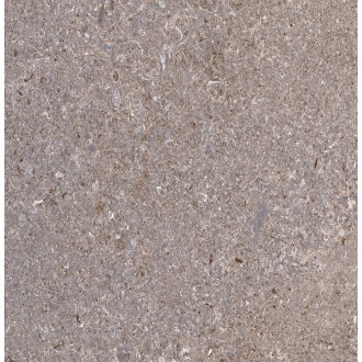 TP413625D Алькон серый 41x41