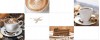 TP520FY5 Декор Тора 5 ректификат 20x50