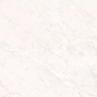 TP66M17 Пантир матовый 60x60