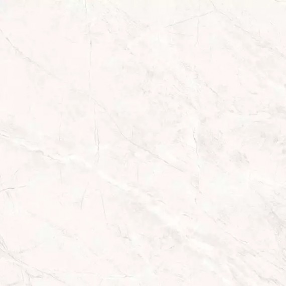 Керамогранит TP66M17 Пантир матовый 60x60