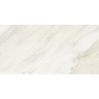 TR-SLK-BNC Silk Bianco 20х40