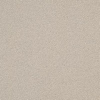 TR326061 Taurus Granit 20x20