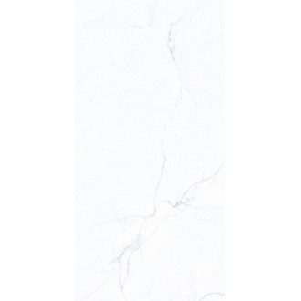 TR61218T Frost Whisper Карвинг матовая 60x120