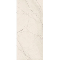 TREX6 278W LP Керамогранит 120x278