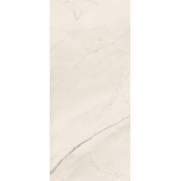 TREX6 278W RM Керамогранит 120x278