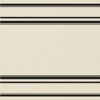 TR PAV LIN 05 PAVIMENTO LINEARE NERO 50x50