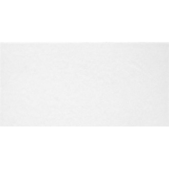 TWU09MNR020 Плитка Monocolor 249x500x8.5