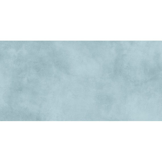 Керамическая плитка TWU09RCD606 Плитка Richard 24.9x50