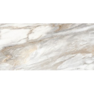 TWU2550EPH74 Плитка Euphoria 249x500x7
