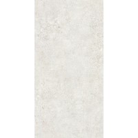 TZ612NTT9501L Terrazzo 60x120