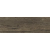 Tabula Grey серый матовый  19,7x60