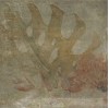 Tahiti Natural 20x20