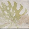Tahiti White 20x20