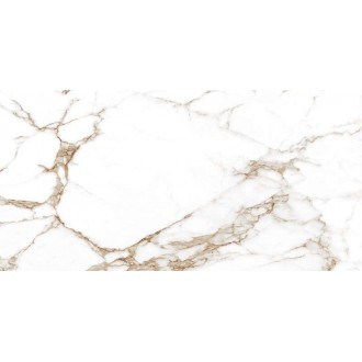 Tajmahal Shine 1200x600